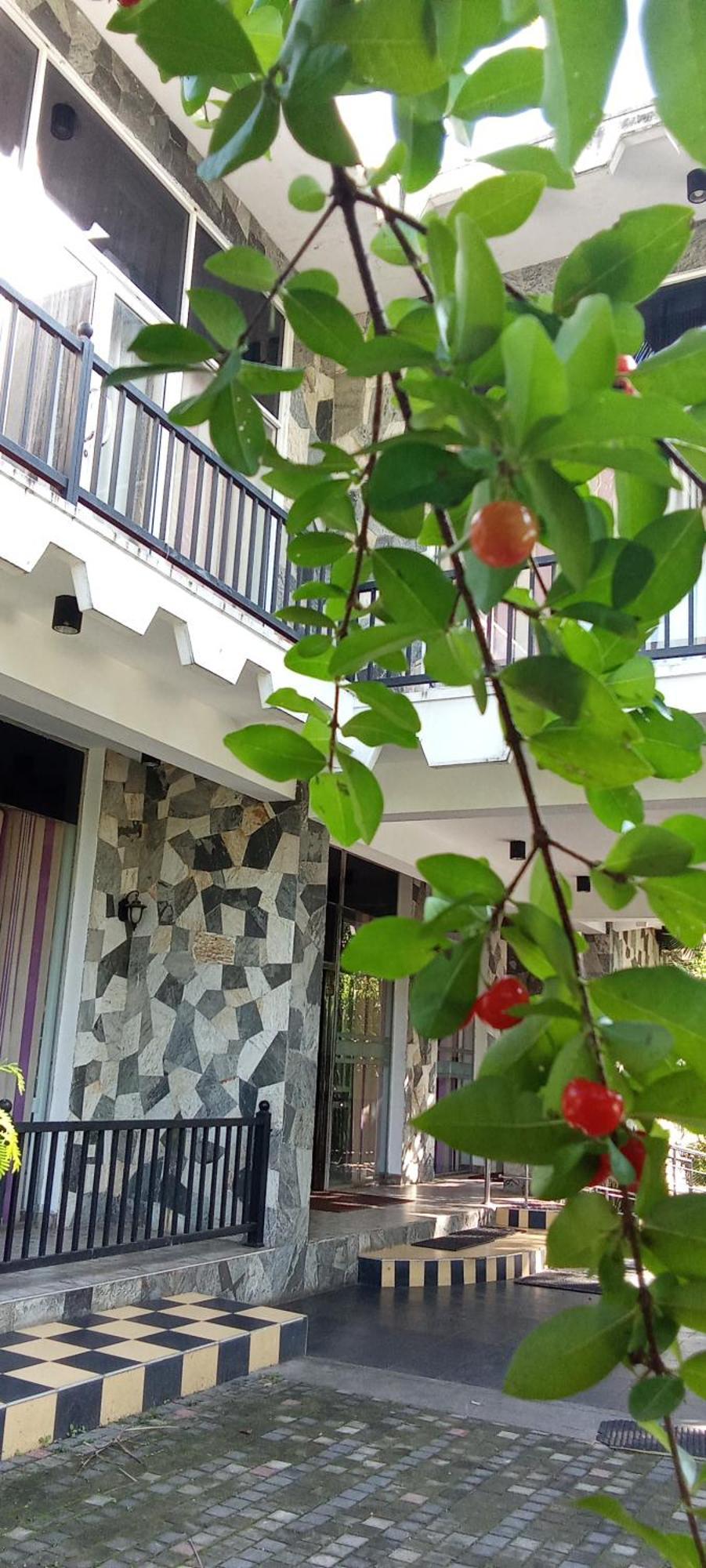 Little Rose Inn Wellawaya Exterior photo