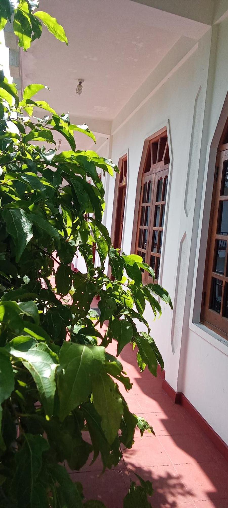 Little Rose Inn Wellawaya Exterior photo