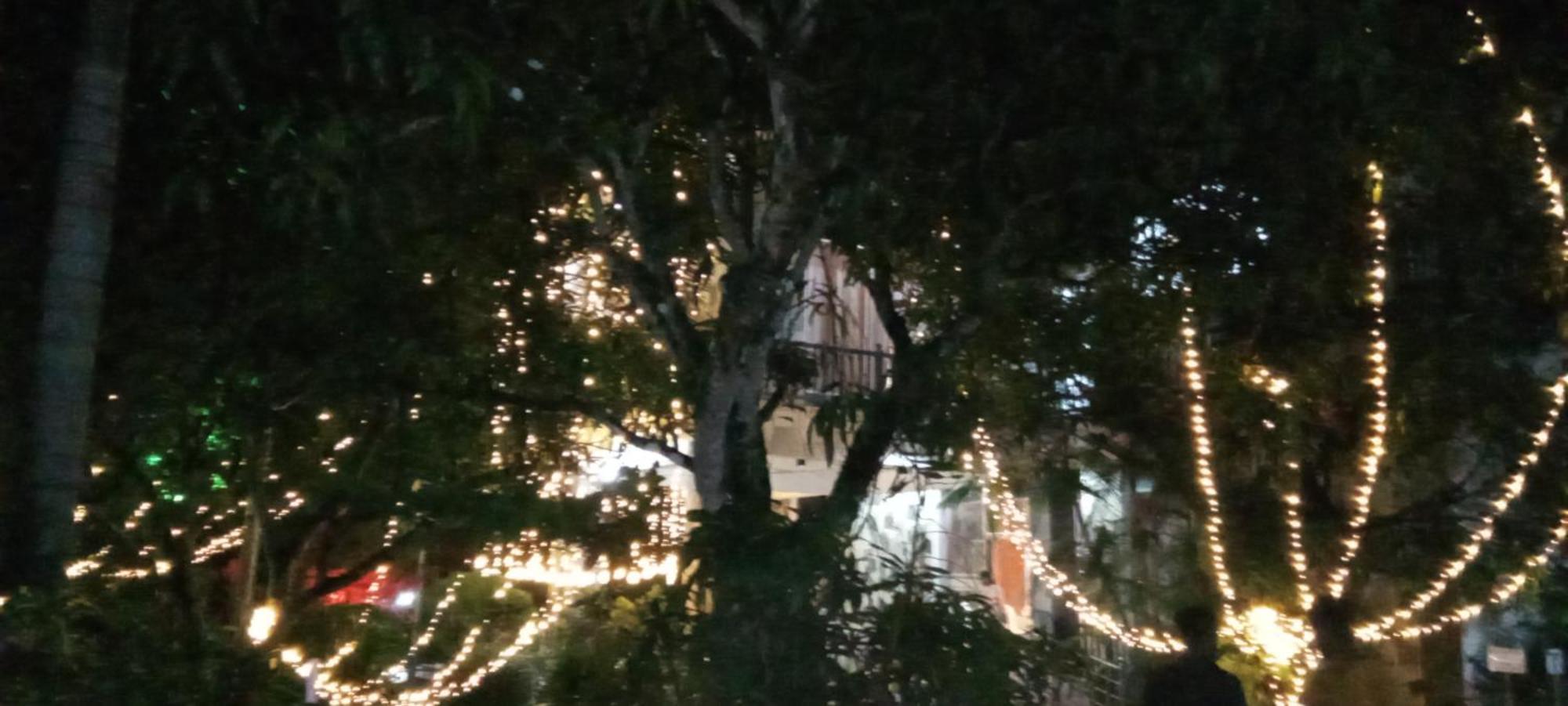 Little Rose Inn Wellawaya Exterior photo
